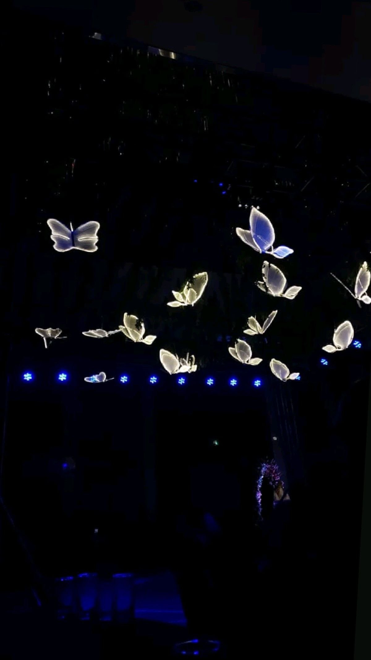Butterfly Effect